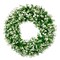 Chiara Artificial Green White Boxwood Decorative Wreath Indoor/Outdoor Use 23''